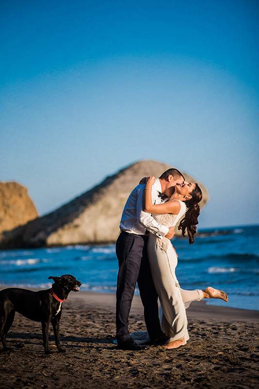 novias y perros
