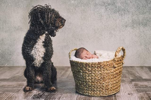 Fotos Bebes / Niños #72